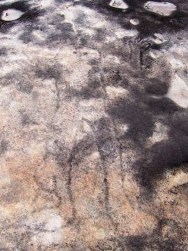 Rock art (petroglyph) of human figure, image taken at Ku-ring-gai Chase National Park